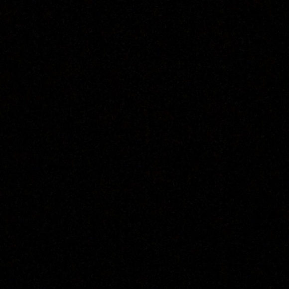 Meet your Posher, Hector - Picture 1 of 1